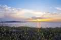 Private Client Land Photography – March 2011