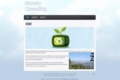 Bluesky-Consulting Website Redesign – March 2012