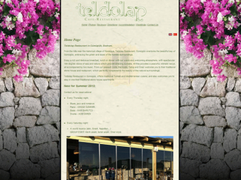 Teldolap Restaurant Website Design – March 2010