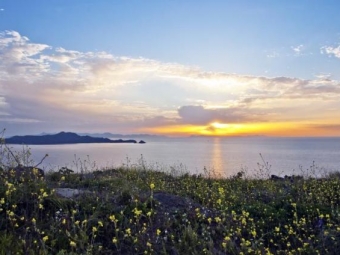 Private Client Land Photography – March 2011