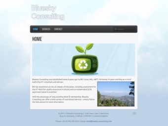 Bluesky-Consulting Website Redesign – March 2012
