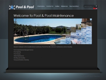 PoolTurkey Website Design – March 2011