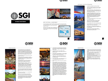 Sirer Global Investments Brochure – December 2012